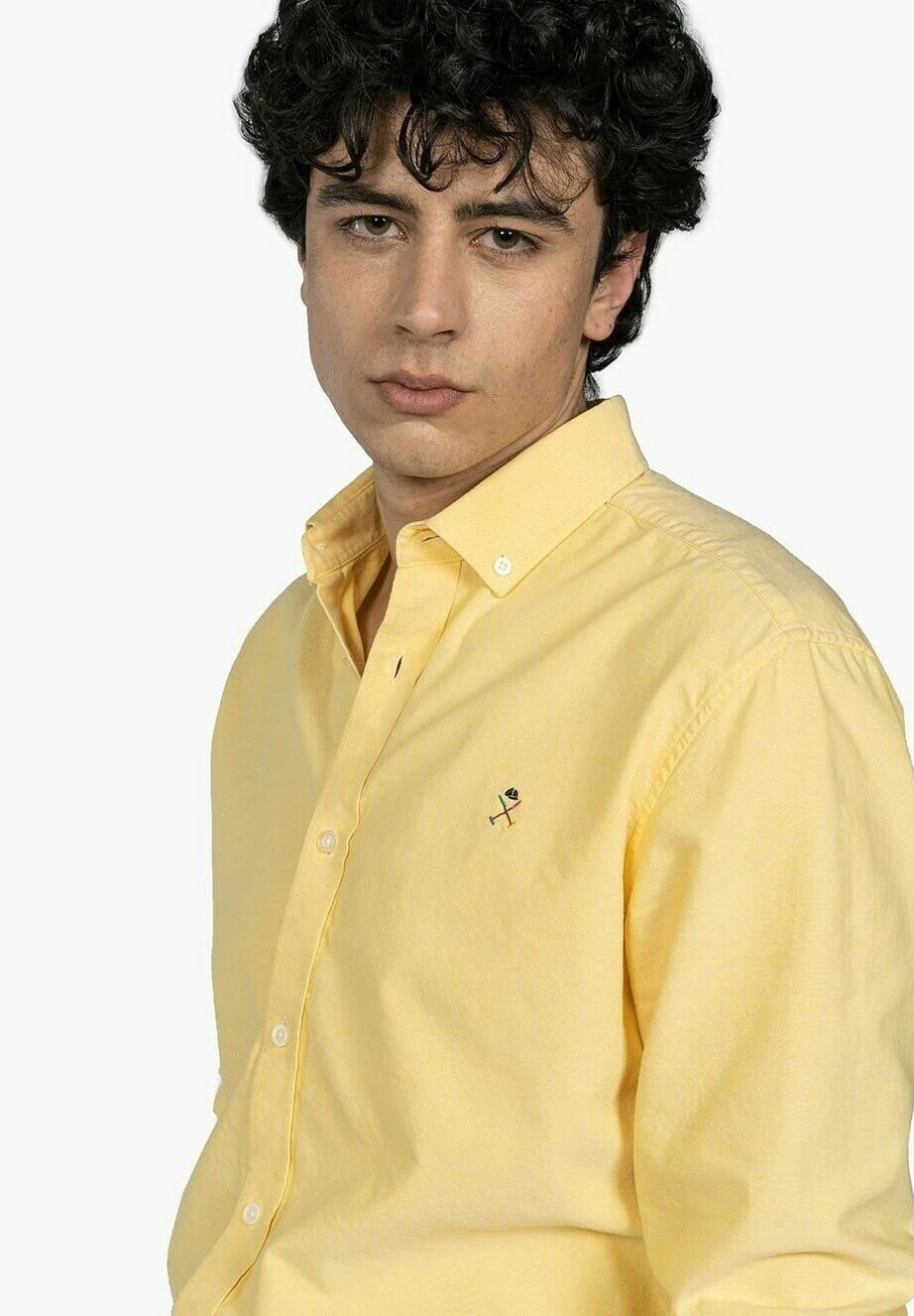 Básica Oxford Colours - Camisa - Yellow 4 Básica Oxford Colours - Camisa - Yellow - Imagen 4