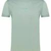 Alpha Industries Double Layer - Camiseta Estampada - Schilf