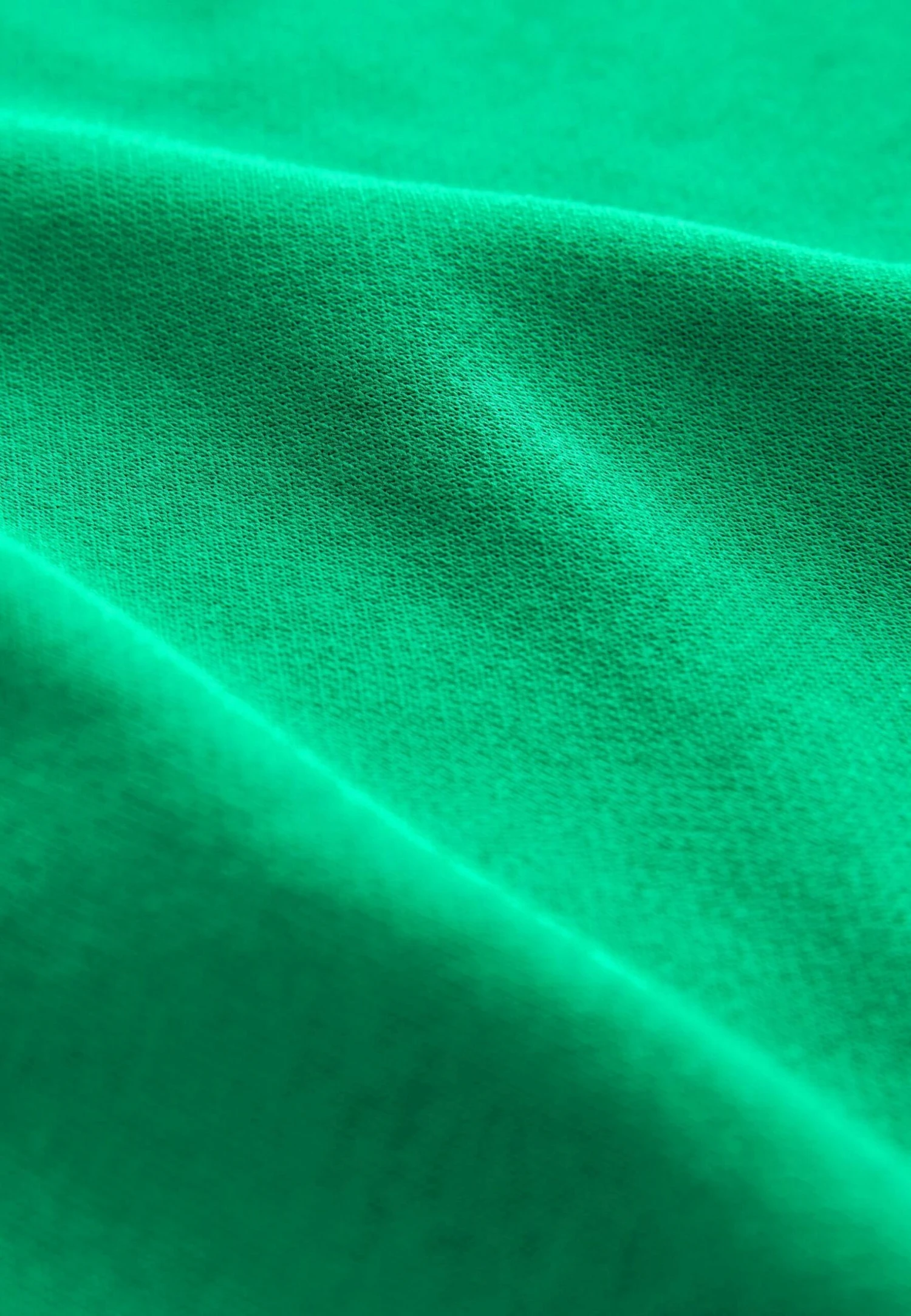 Next Crew - Sudadera - Green 5 Next Crew - Sudadera - Green - Imagen 5