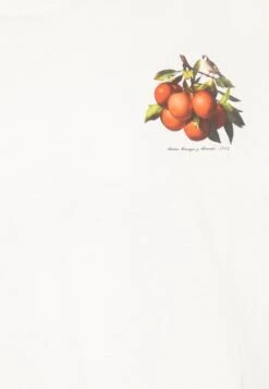 Redefined Rebel Rrgiovanni Tee - Camiseta Estampada - Pristine -Blends Moda Tienda eb3423fdad44482894b636e0317983d0